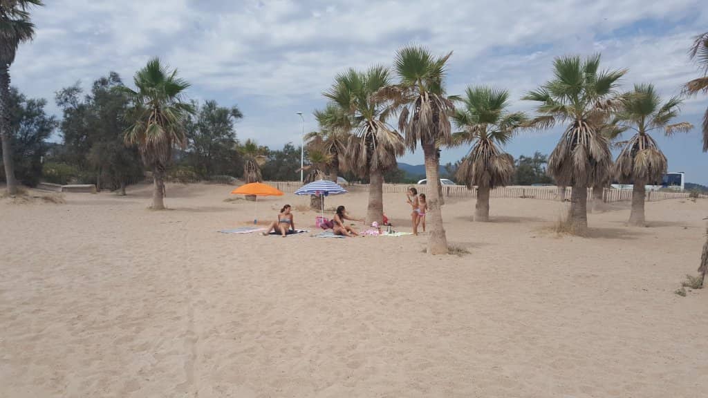 Naturist Section