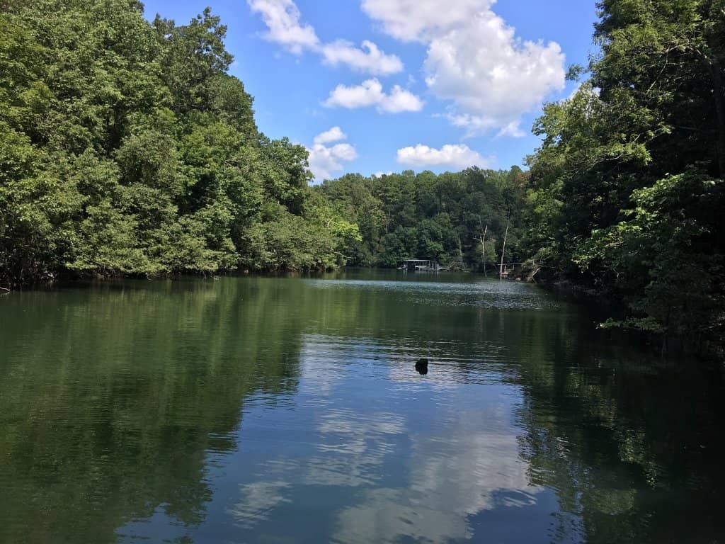 Rustic Cabin Retreats