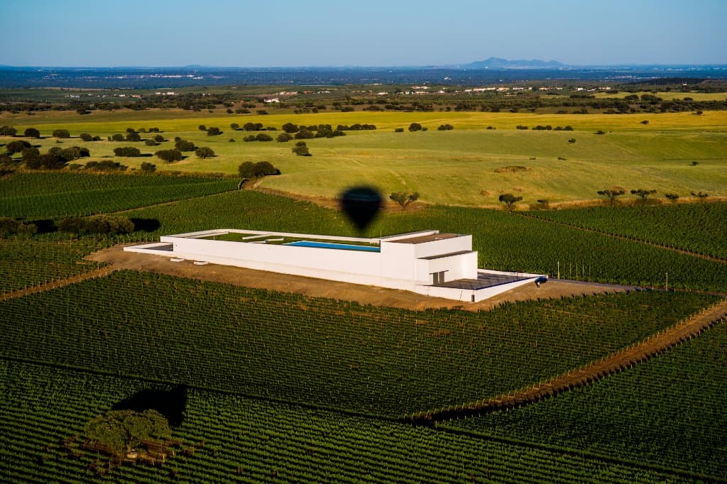 Adega Mayor - Abre os Sentidos - Open Your Senses- Hot air ballon