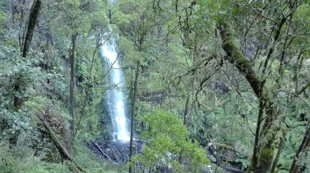 The Cascading Waterfall