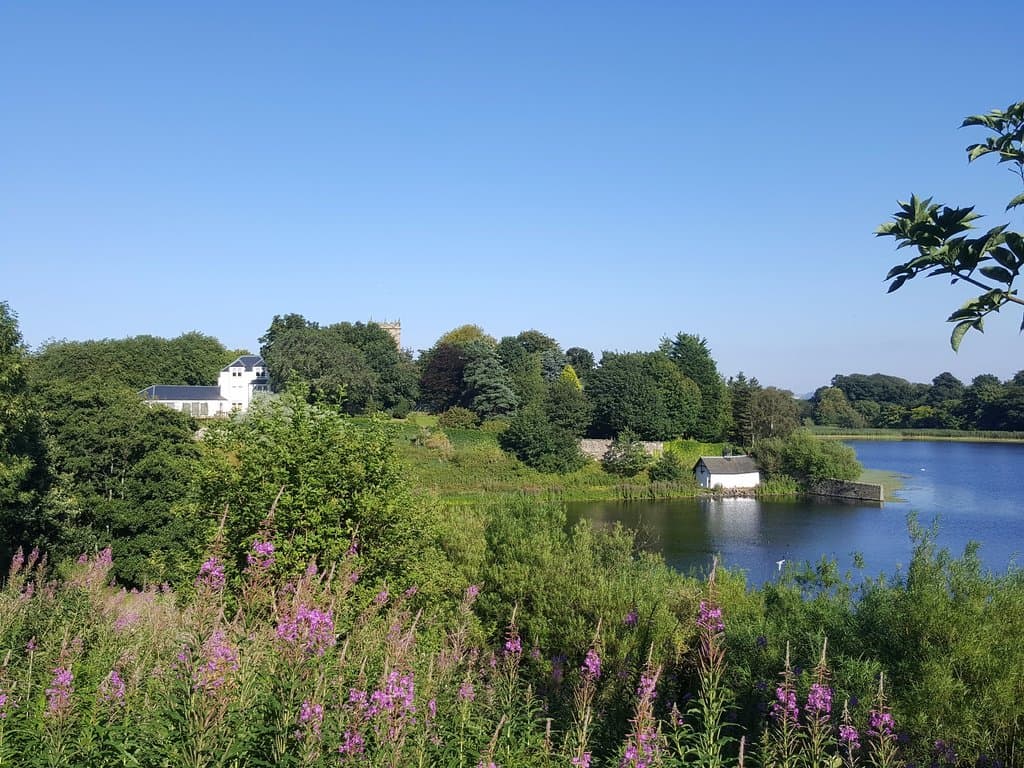 vy från trädgården