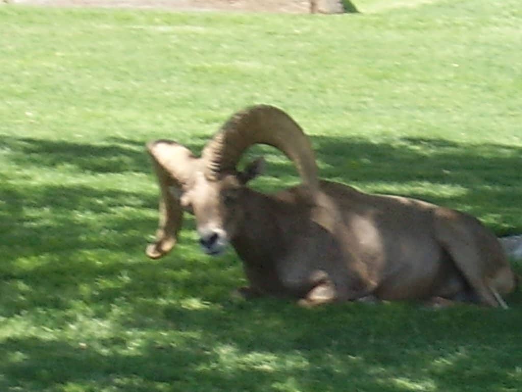 Visitor Center Exhibits