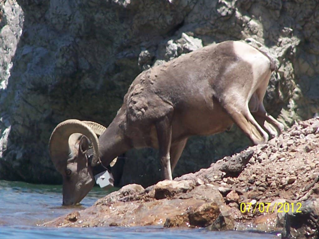 The Dam's Immense Scale