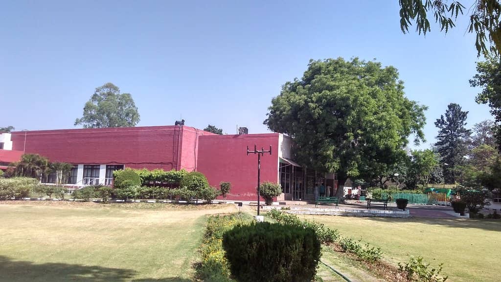 Evening Aarti Ceremony