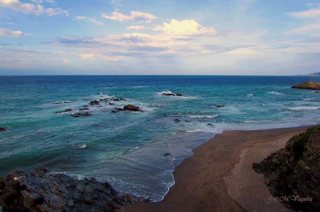 Peaceful Shores