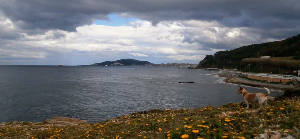 Dramatic Cliffs