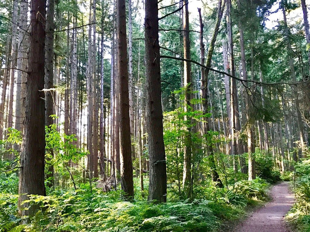 Bridle trails Park.