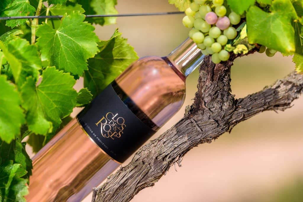 Wine Tasting Experience