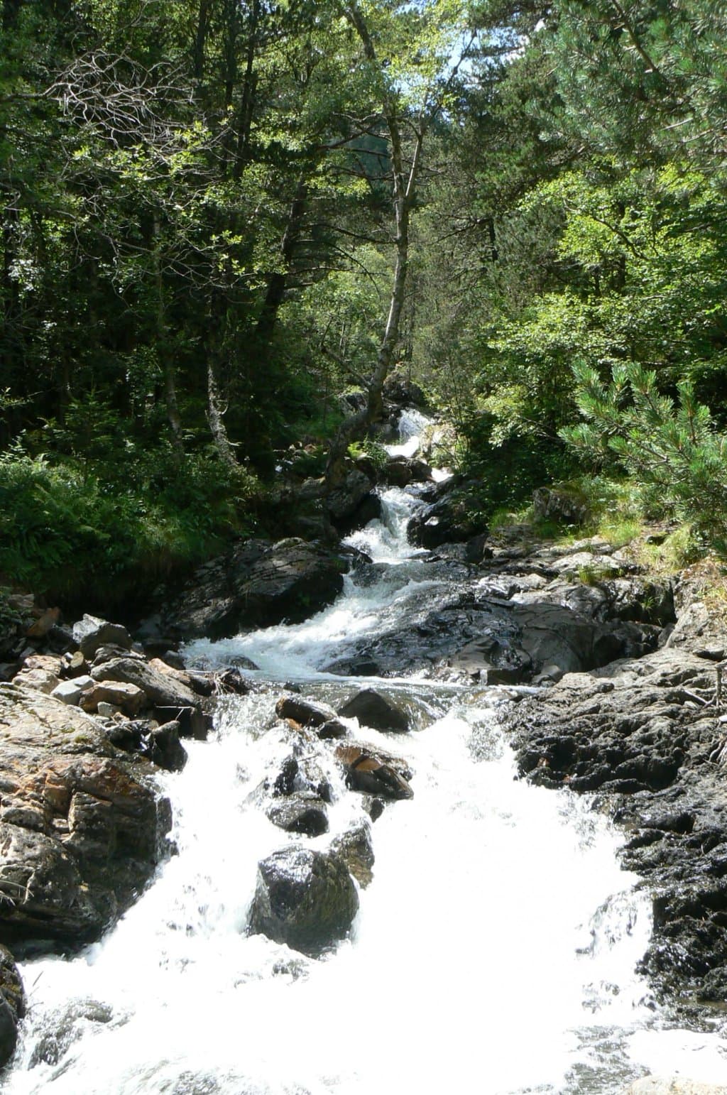El rio Pollos se va viendo durante el itinerario, hasta que se cruza por un puente.