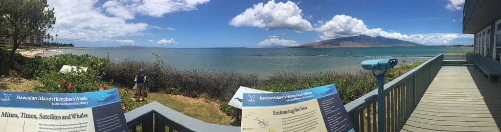 Ocean Views & Wildlife Spotting