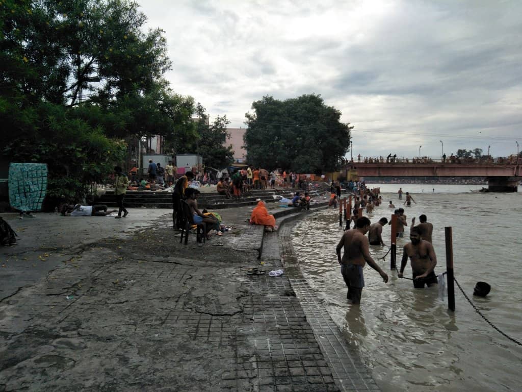 Street Food Delights