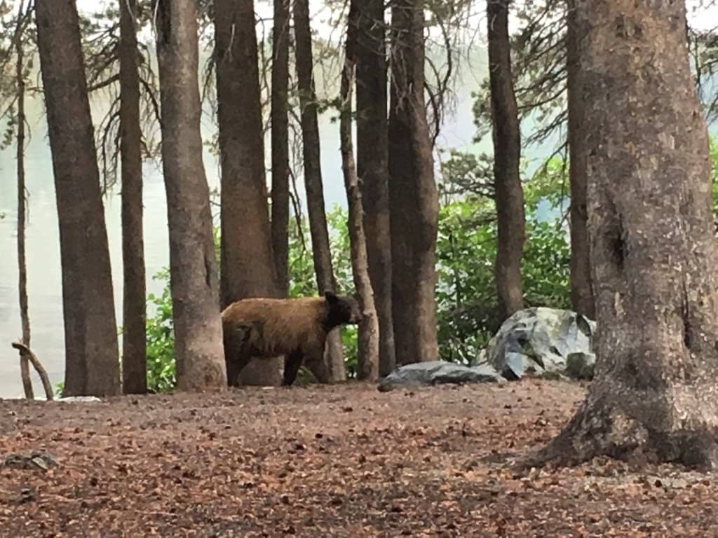 Lake Mary's Serene Waters