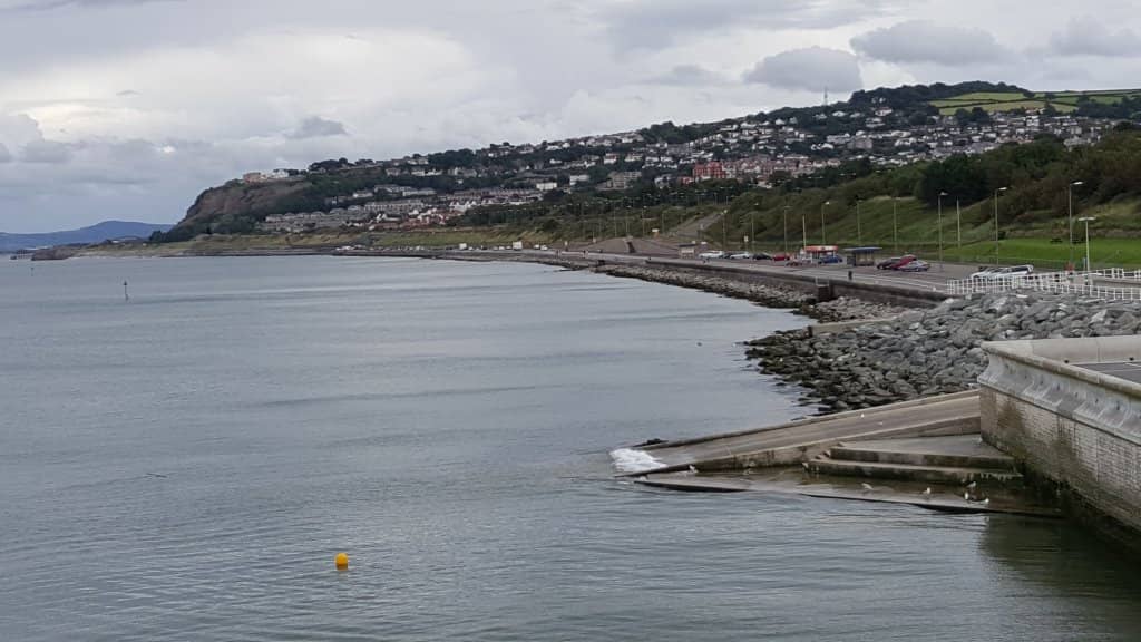 Potential Dolphin Sightings