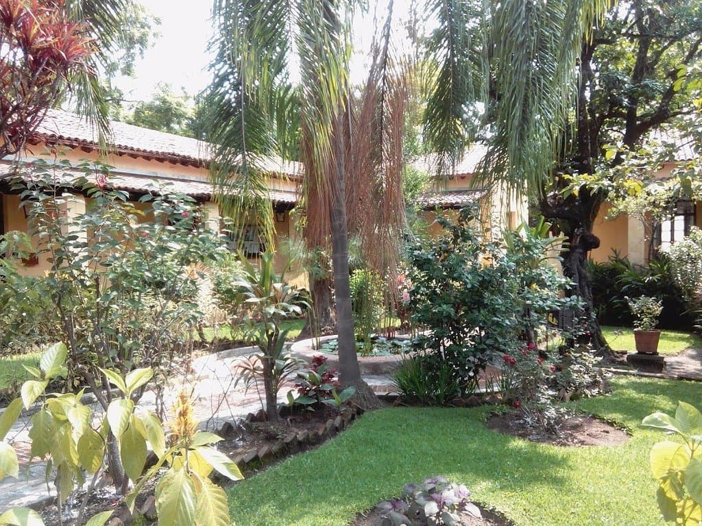Entrance, see the water lily pond in the middle of the courtyard is gorgeous