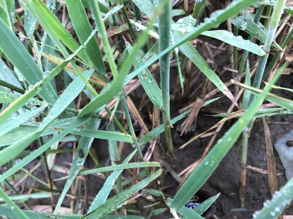 Sunrise/Sunset Spectacle