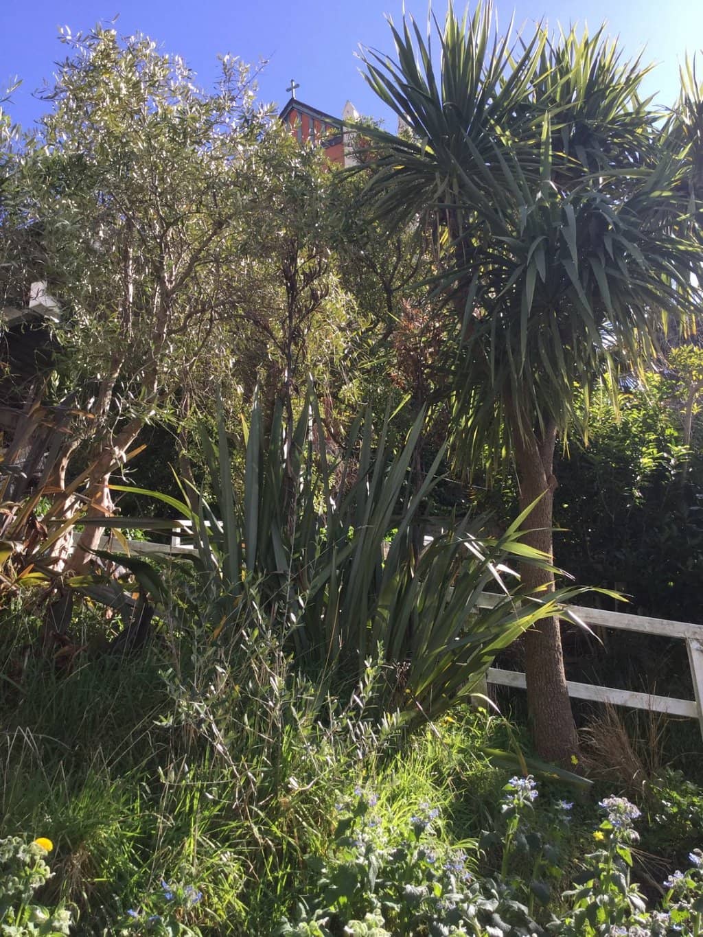 The Riviera of the South