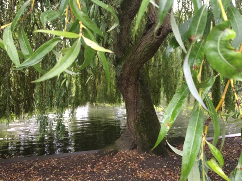 Children's Play Area