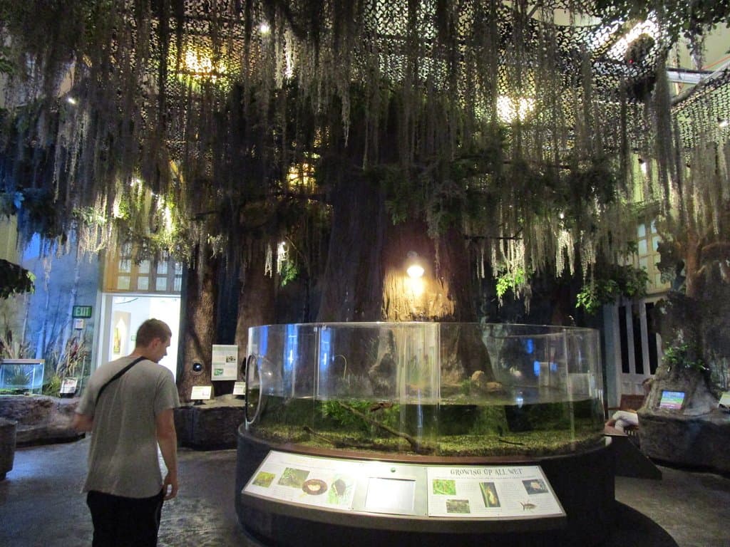 Audubon Insectarium