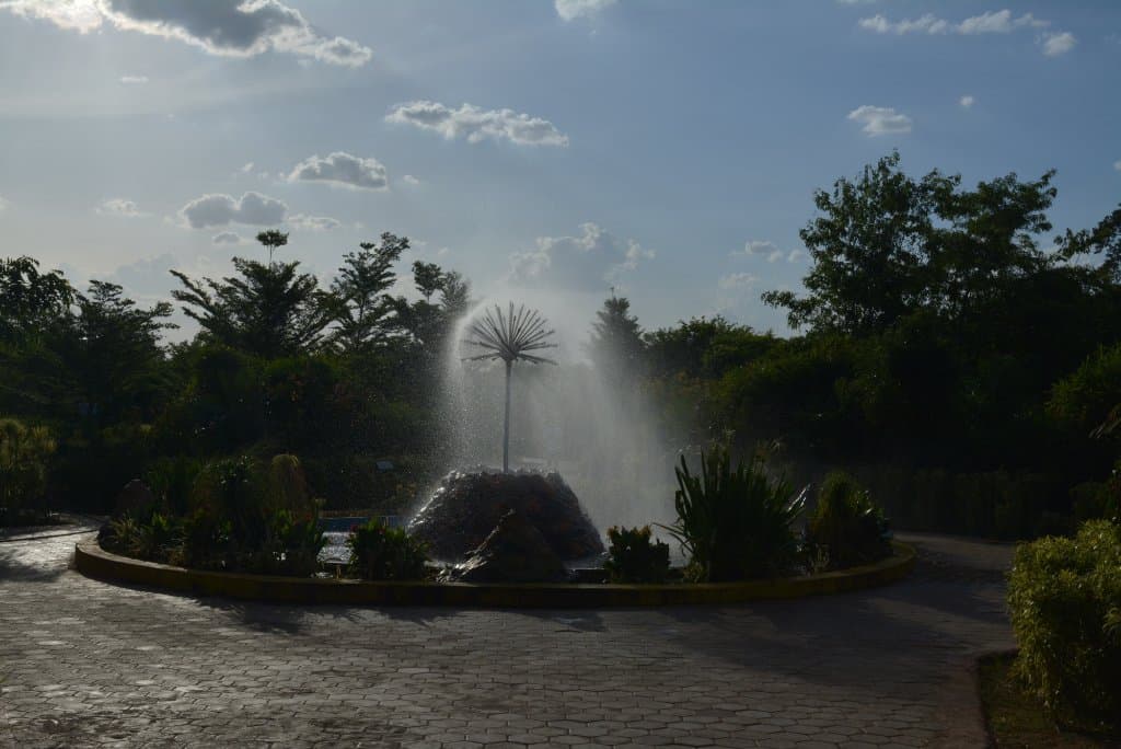 Butter Fly Park