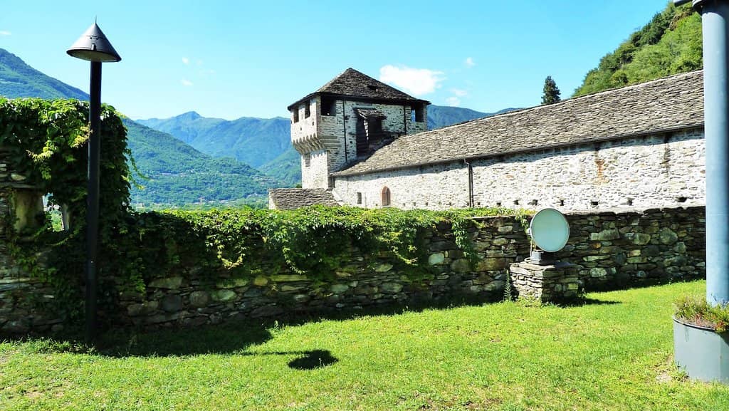 Fascinating Wolf Exhibit