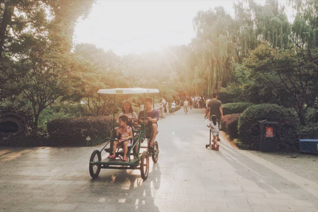 Lush Greenery and Trees