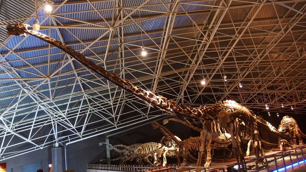 Relaxing Hot Springs