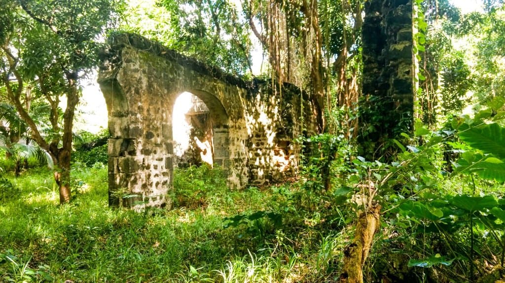 Bras d'Eau National Park