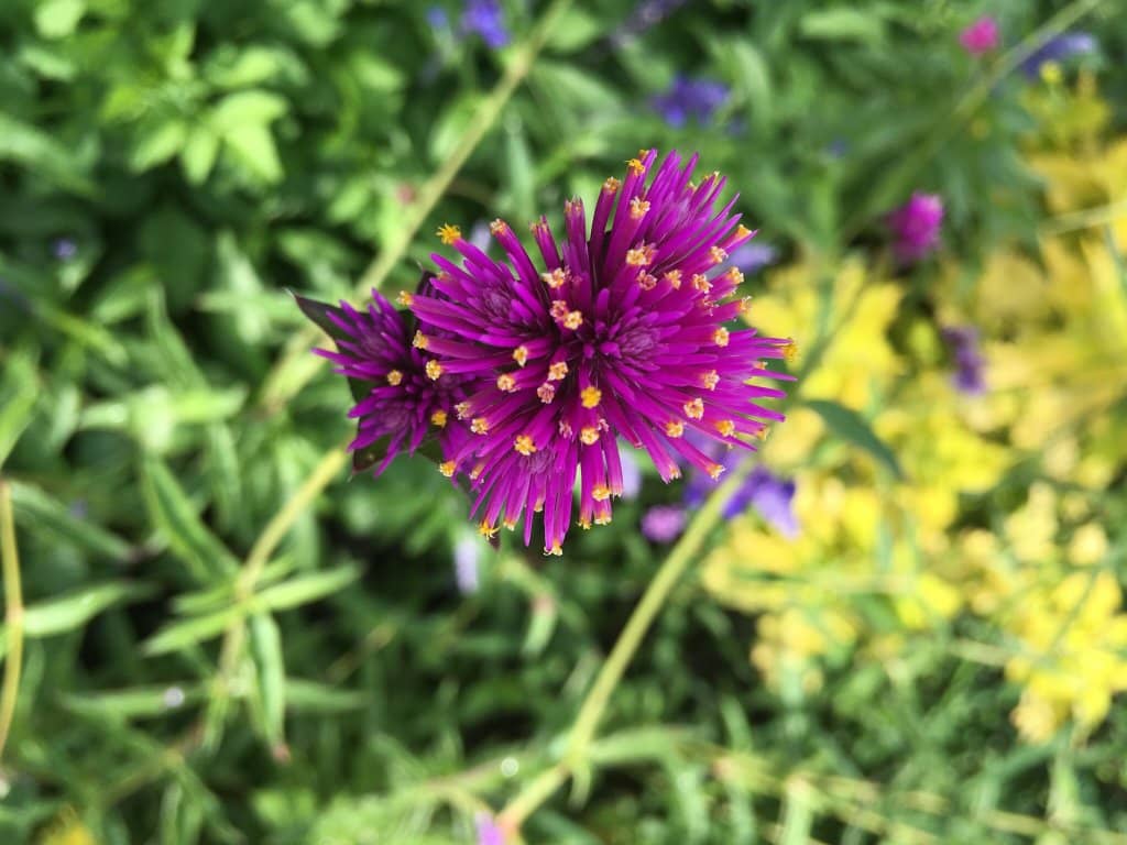 Well-Marked Nature Trails