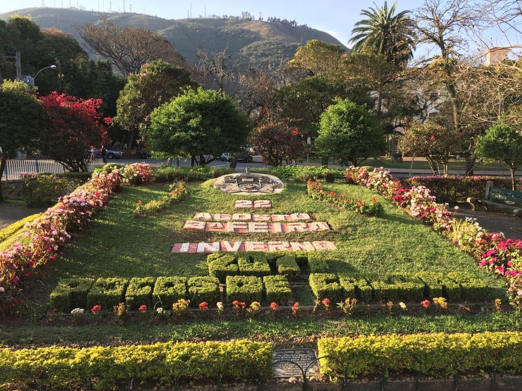 Relógio Floral
