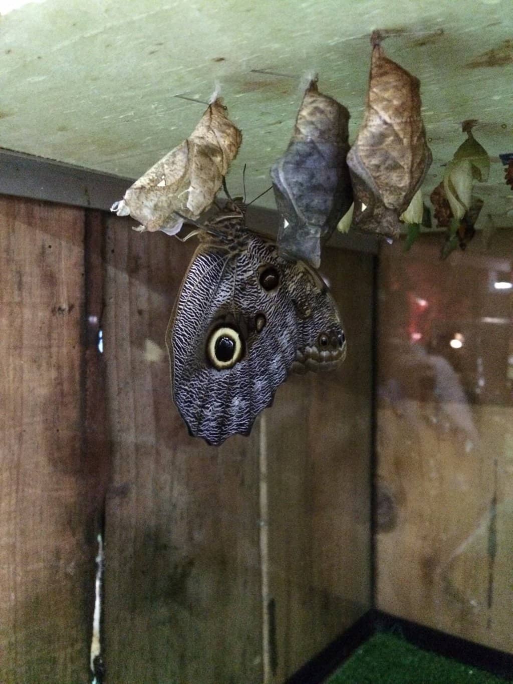 Tropicarium Exhibits