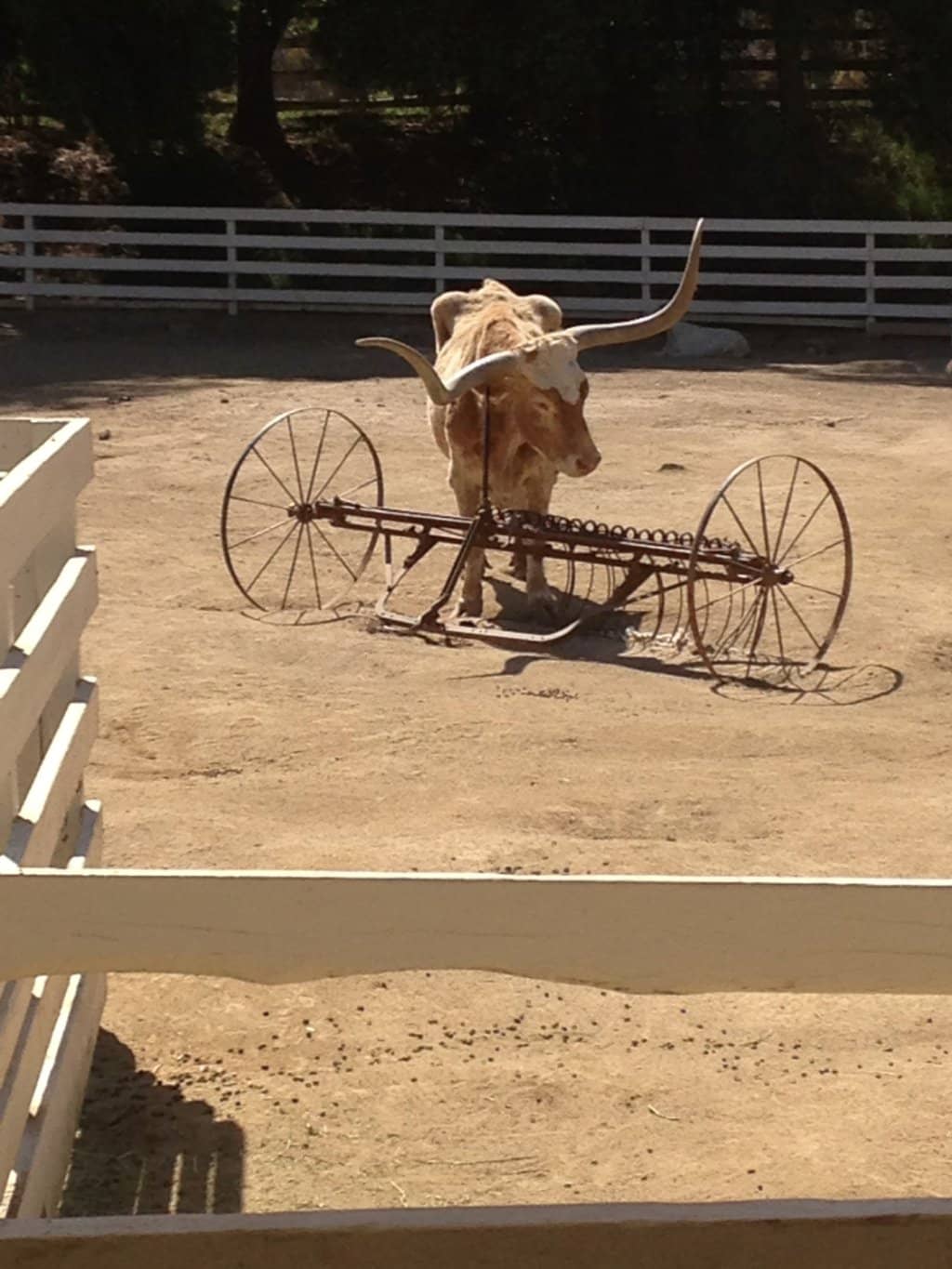 Living History Ranch