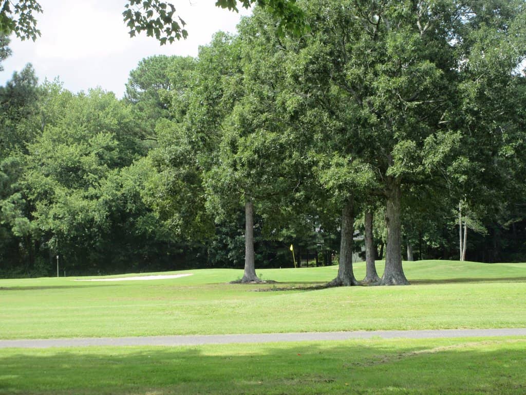 Affordable Par-3 Fun