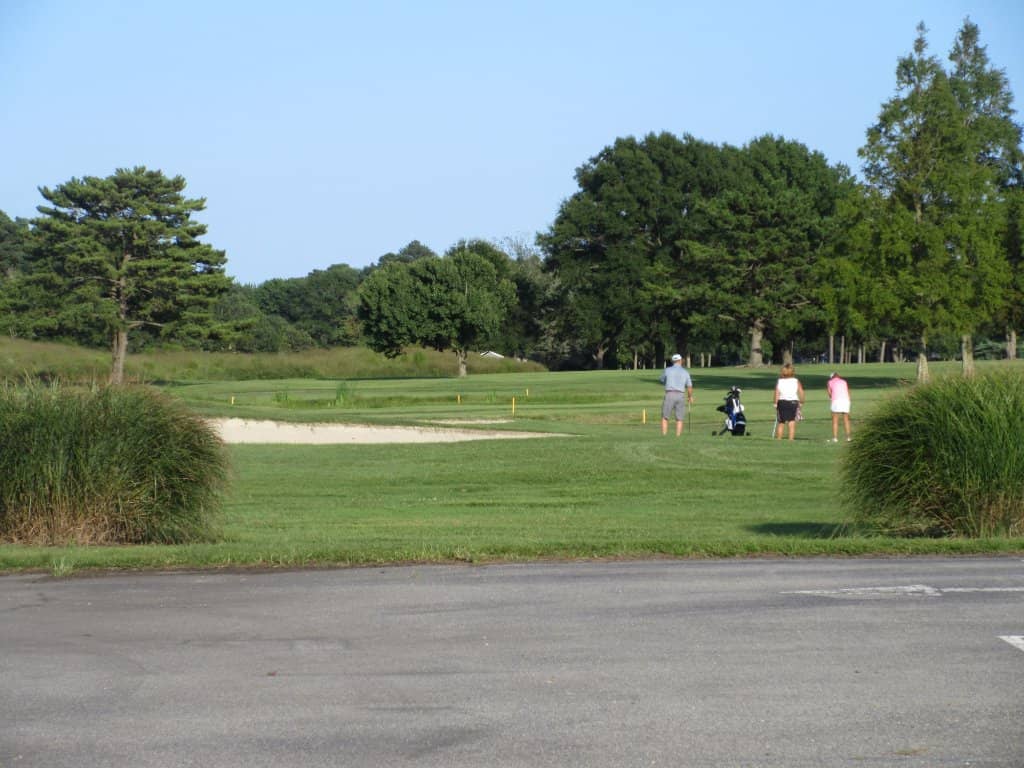 Immaculate Greens