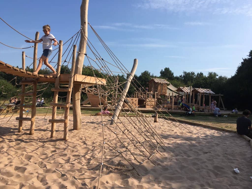 Dog-Friendly Beach