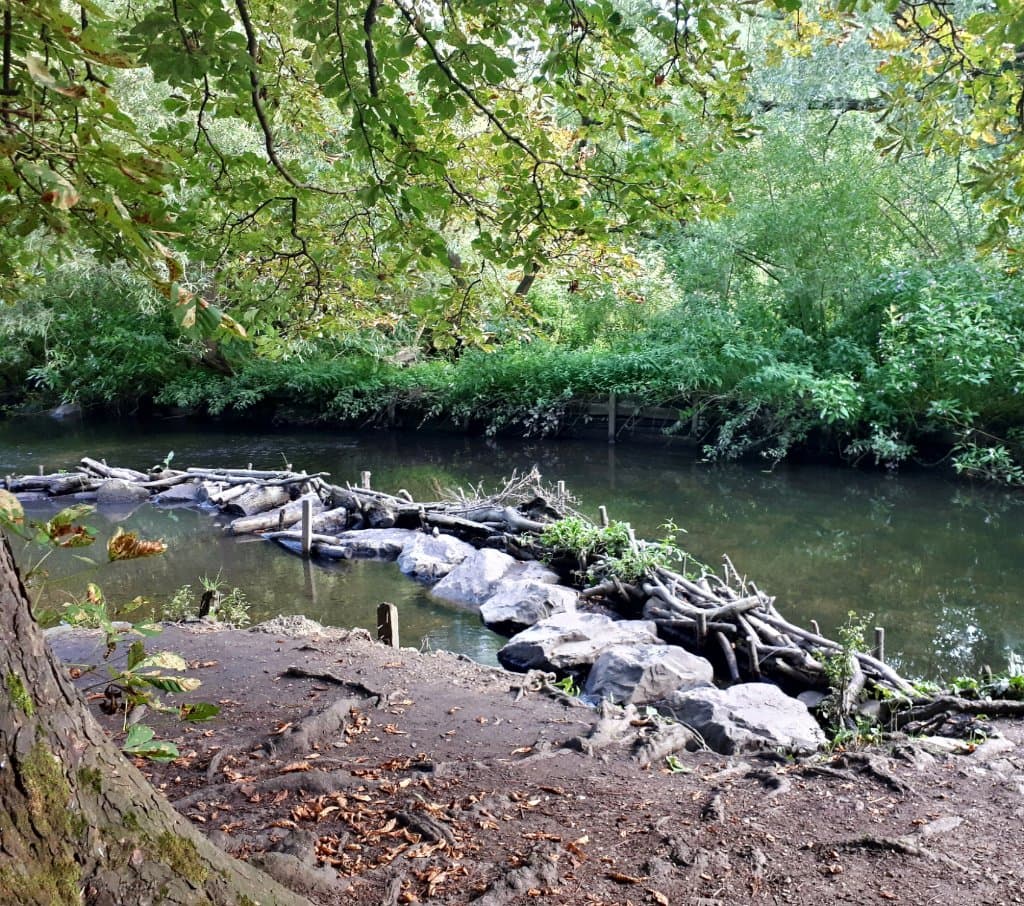 View of the river