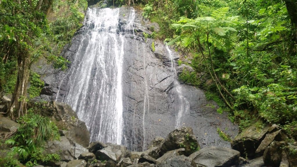 COCA FALLS