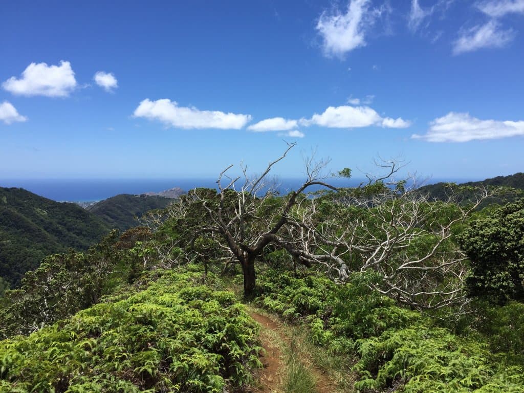 Great hike and views, but beware of smash and grab