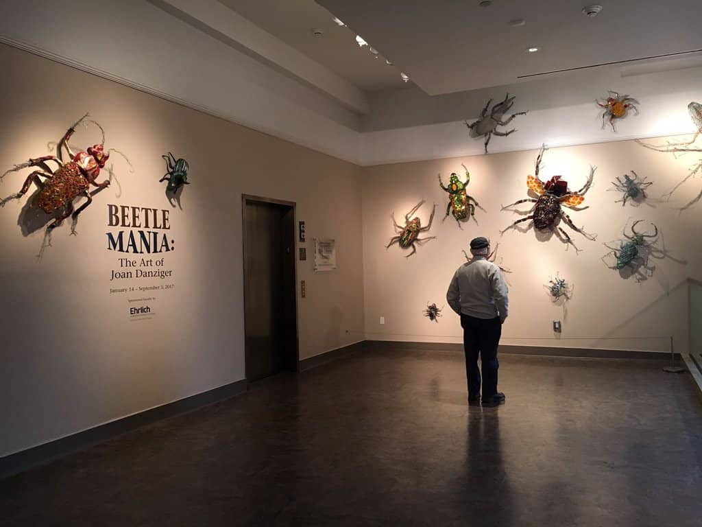 Planetarium Shows