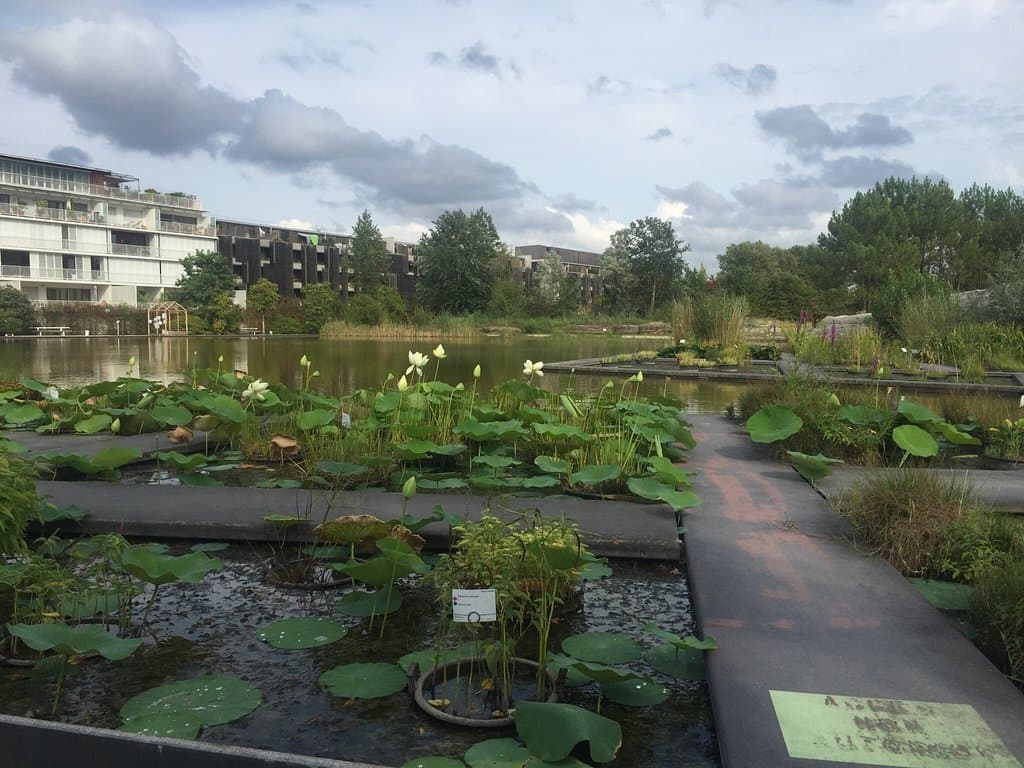 Jardin Botanique de Bordeaux