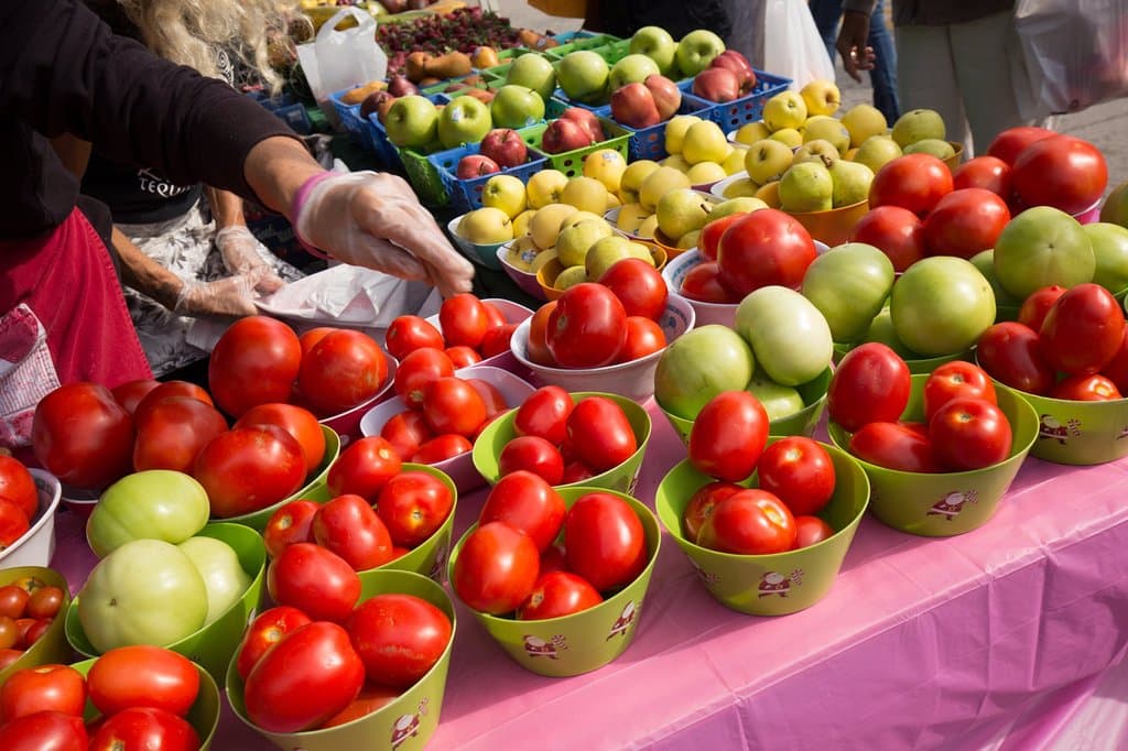 Fresh Tomatoes