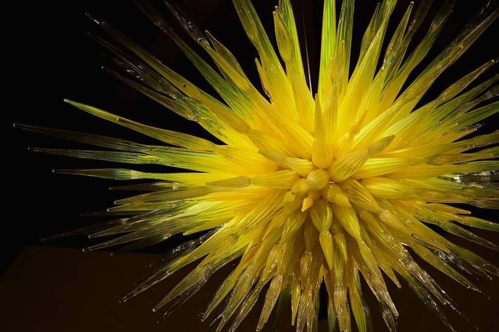 Island History Exhibits