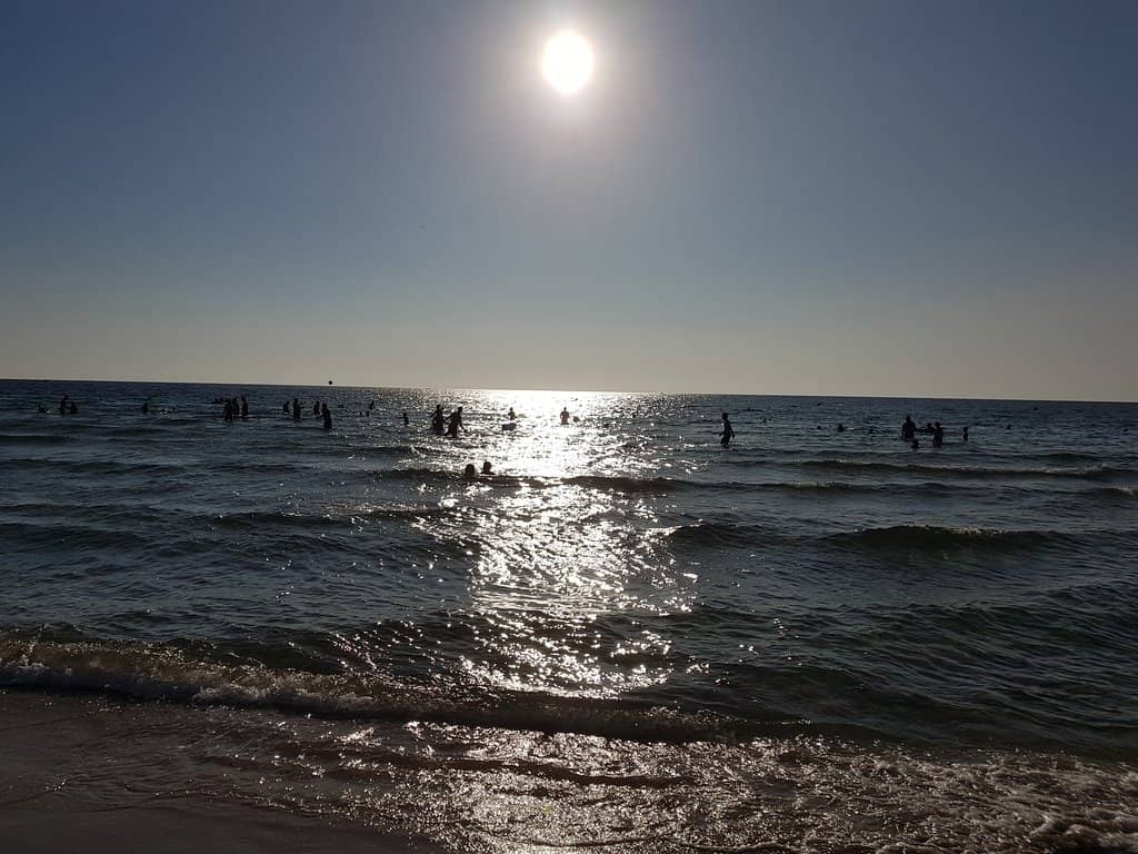 Pristine Sandy Shores