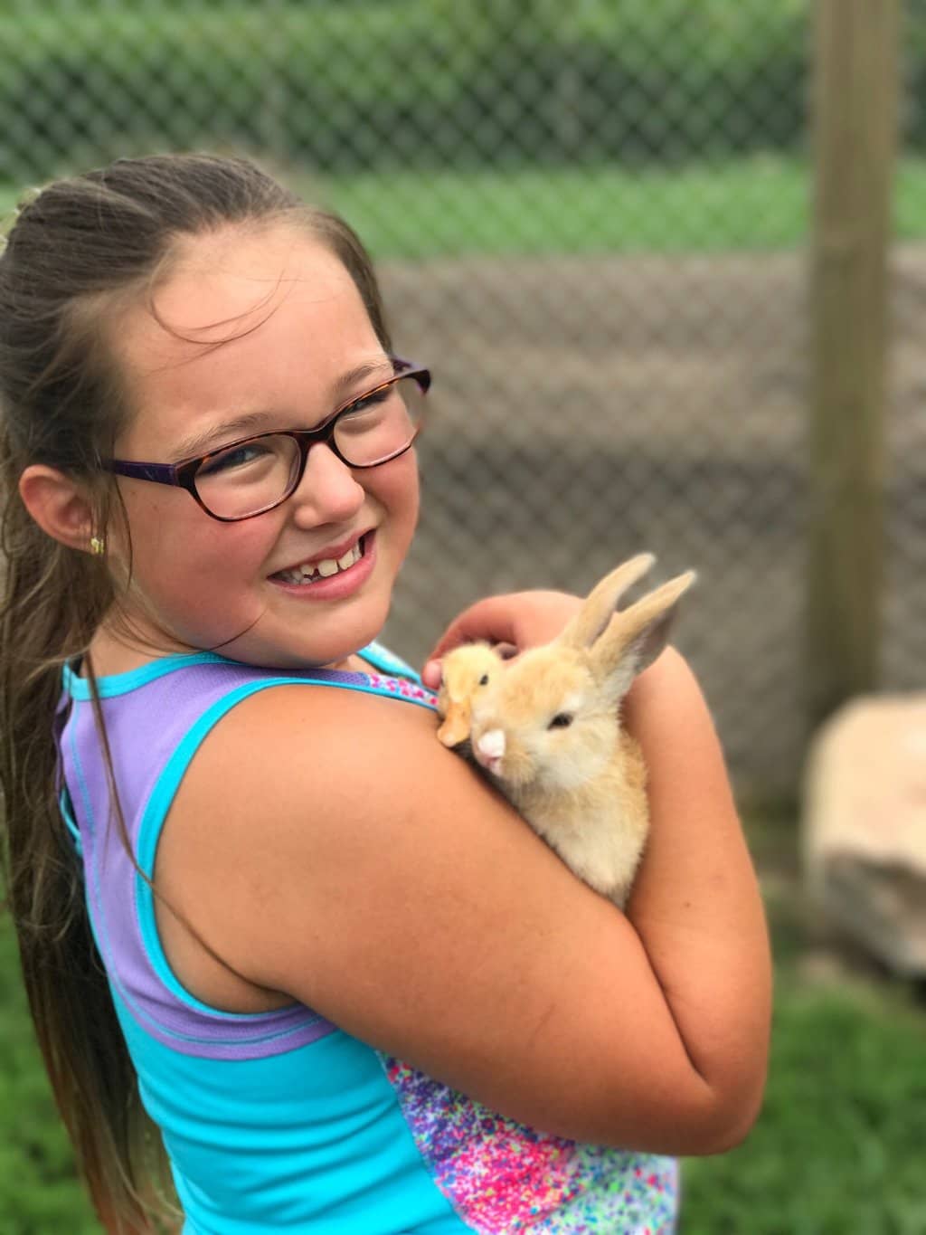 Scottish Highland Cows