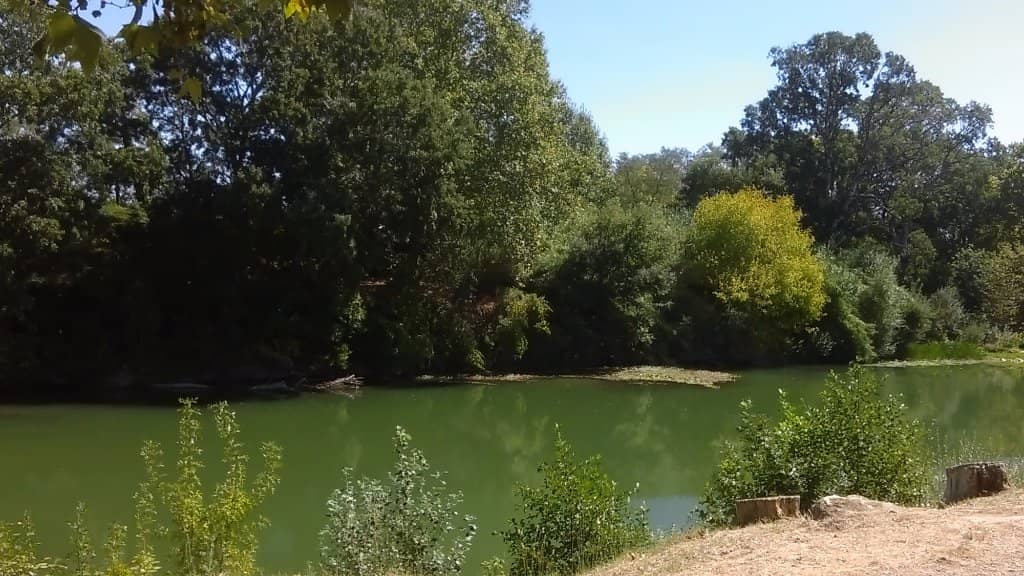 Pont d'Ambrussum