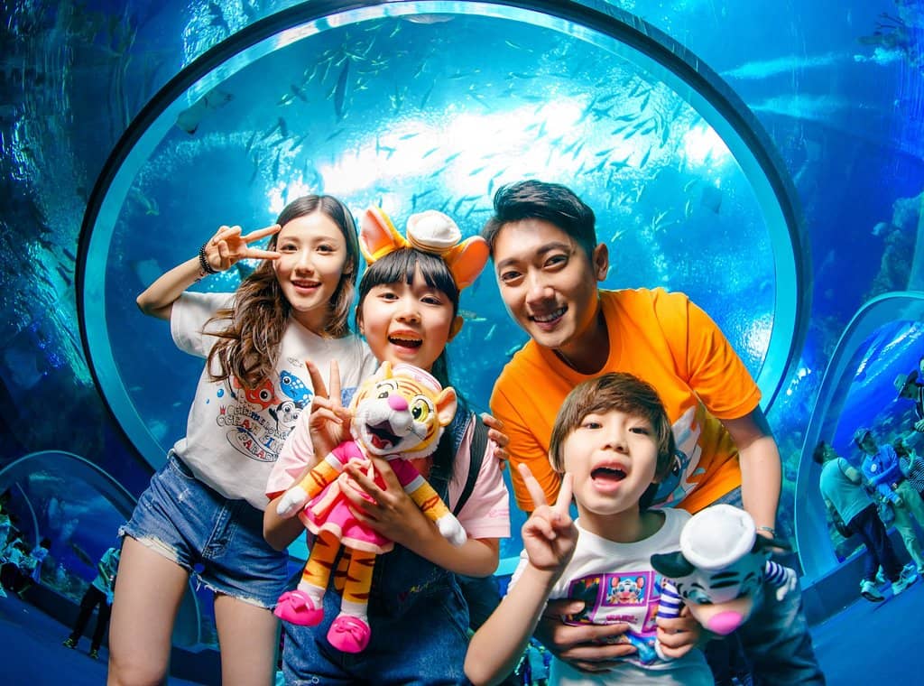 Whale Shark Aquarium