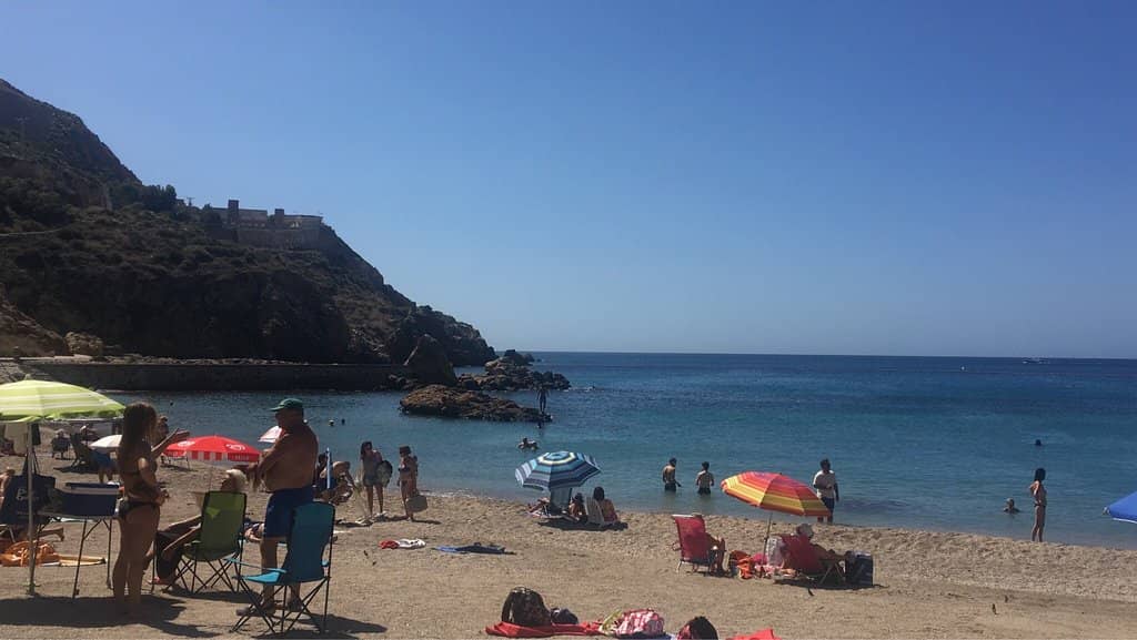 Snorkeling Paradise