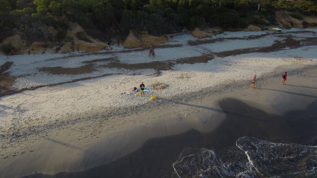 White Sandy Shores