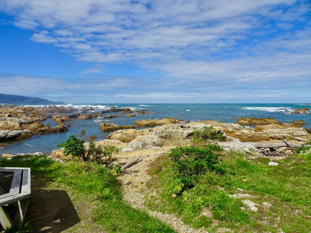 Scenic Coastal Walks