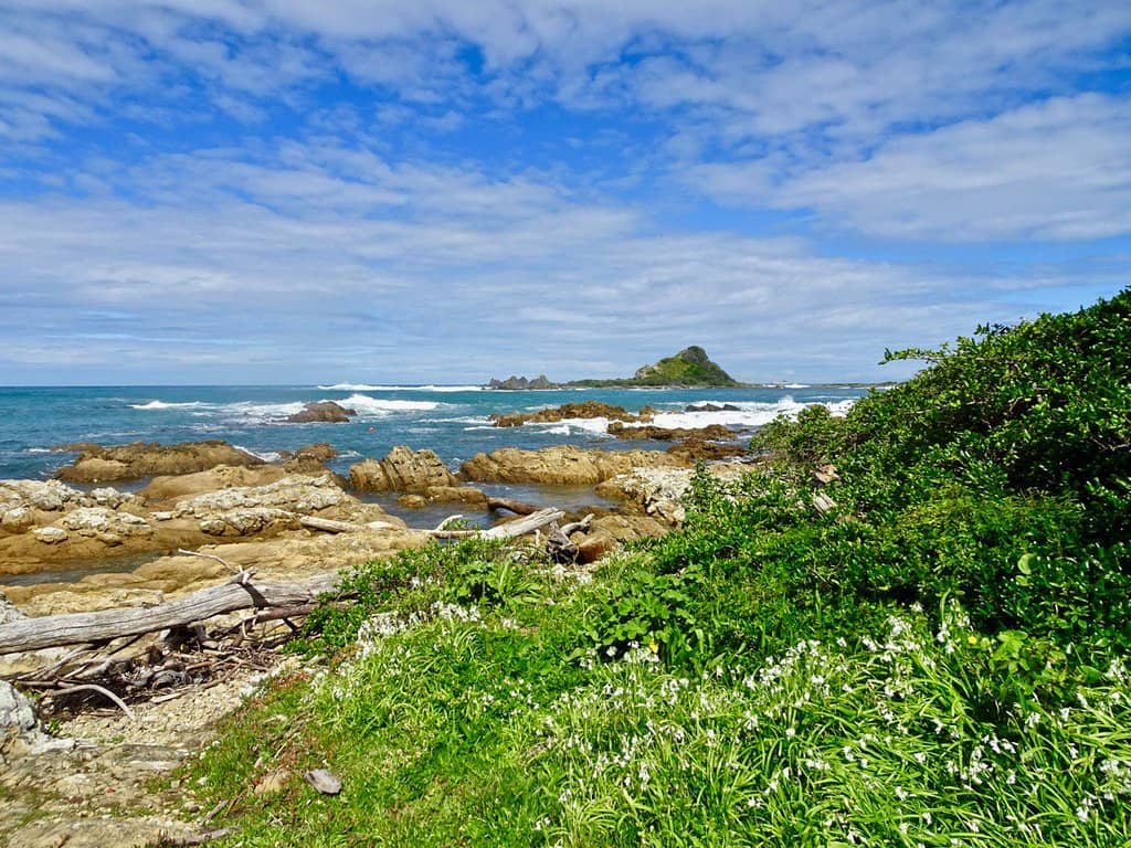 Abundant Marine Life