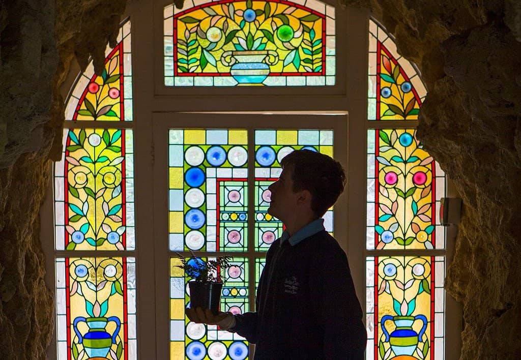 Ornamental Bridges and Ponds